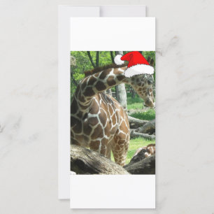 Christmas Giraffe