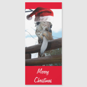 Christmas Giraffe wearing a Santa Claus Hat