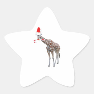 Christmas Giraffe with Santa Hat Star Sticker