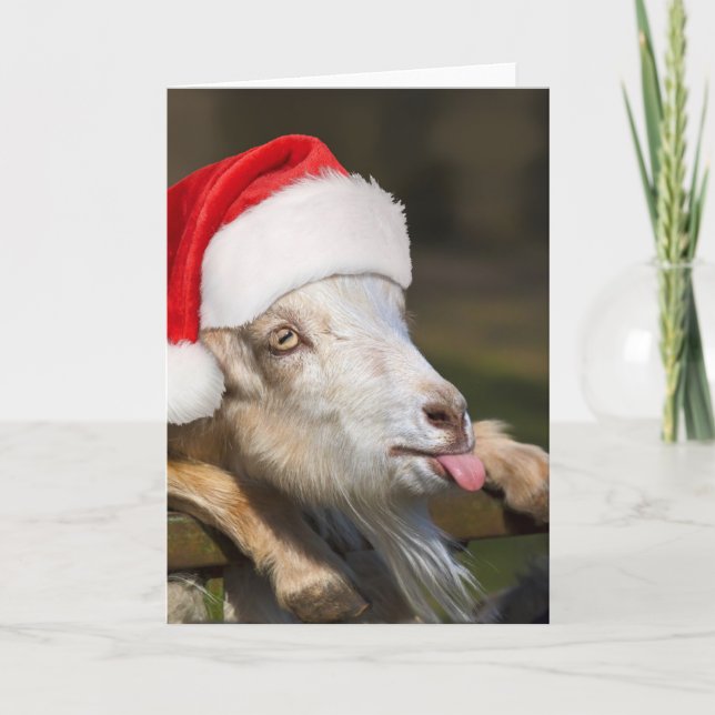Christmas Goat Card (Front)