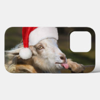 Christmas Goat
