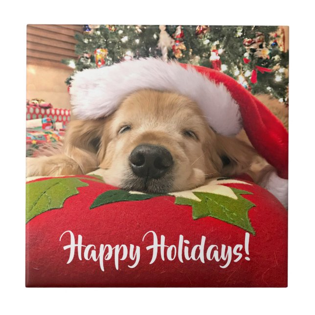 Christmas Golden Retriever Dog Asleep Under Tree Tile (Front)