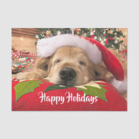 Christmas Golden Retriever Dog Asleep Under Tree