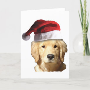 Christmas Golden Retriever Holiday Card