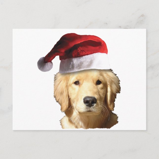 Christmas Golden Retriever Holiday Postcard (Front)