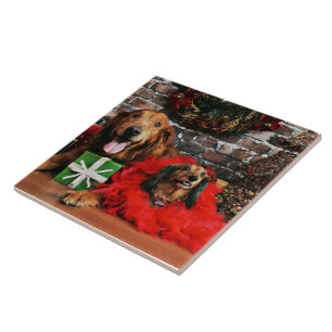 Christmas - Golden Retriever Max - Doxie - Chloe Tile