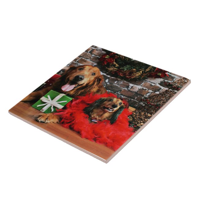 Christmas - Golden Retriever Max - Doxie - Chloe Tile (Side)