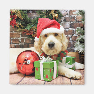 Christmas - GoldenDoodle - Gus Magnet