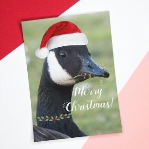 Christmas Goose Holiday Card