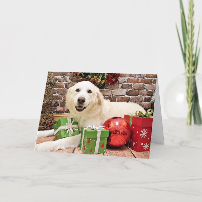 Christmas - Great Pyrenees Labrador X - Ginny Holiday Card (Front)