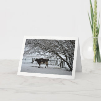 Christmas. Greeting Card. Cow in Snow. Holiday Card