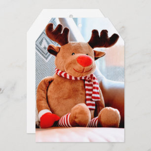 Christmas Greeting/Holiday Cards