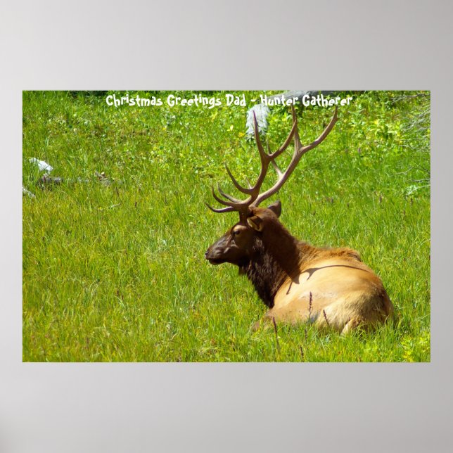 Christmas Greetings Dad Hunter Gatherer Poster (Front)