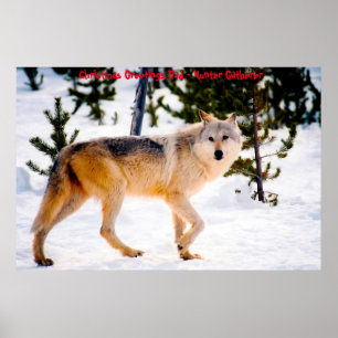 Christmas Greetings Dad Hunter Gatherer Poster