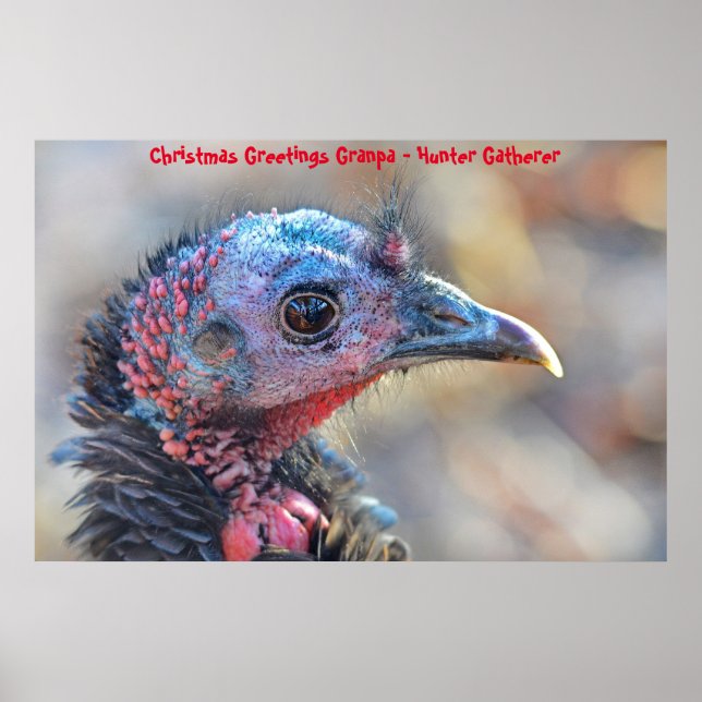 Christmas Greetings Grandpa Hunter Gatherer Poster (Front)