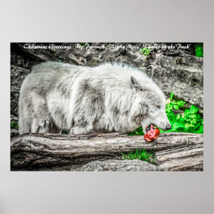 Christmas Greetings Leader of the Pack Poster