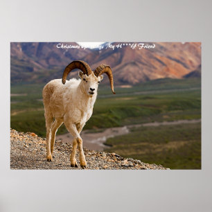 Christmas Greetings  My Honey Friend Poster