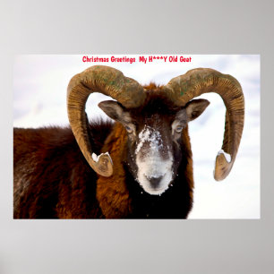 Christmas Greetings  My Honey Goat Poster