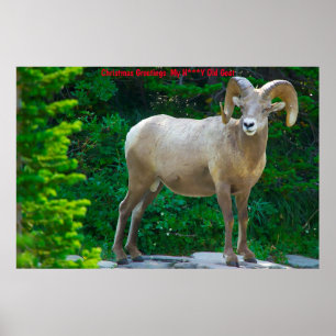 Christmas Greetings  My Honey Goat Poster