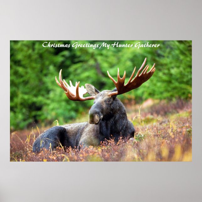 Christmas Greetings My Hunter Gatherer Poster (Front)