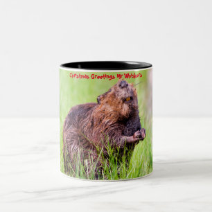 Christmas Greetings  My Little Beaver Two-Tone Coffee Mug