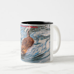 Christmas Greetings My Little Beaver Two-Tone Coffee Mug