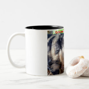 Christmas Greetings My Old Boar Two-Tone Coffee Mug