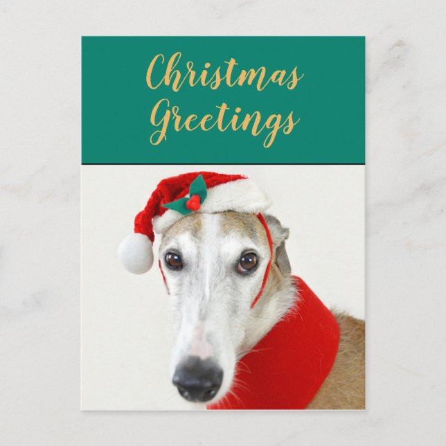 Christmas greyhound cute dog holiday postcard (Front)