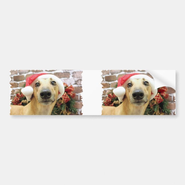 Christmas - Greyhound - Pena Bumper Sticker (Front)