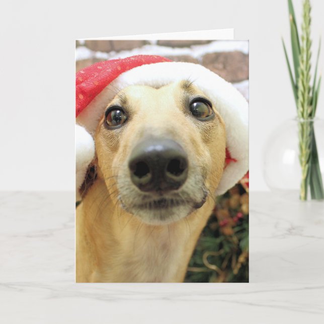 Christmas - Greyhound - Pena Holiday Card (Front)