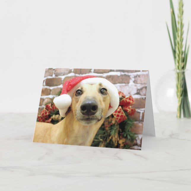 Christmas - Greyhound - Pena Holiday Card (Front)