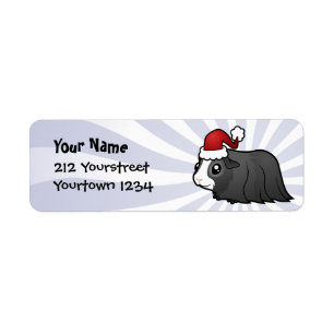 Christmas Guinea Pig (long hair)
