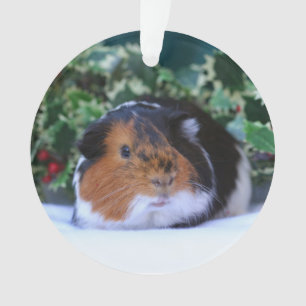 Christmas Guinea Pig Ornament