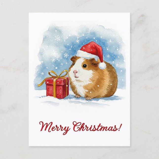 Christmas Guinea Pig Postcard (Front)