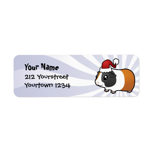 Christmas Guinea Pig (smooth hair) (Front)