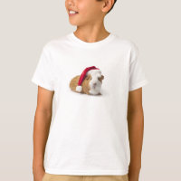 Christmas Guinea Pig