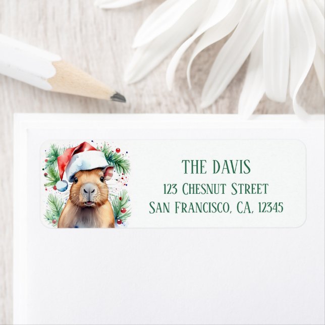Christmas Hat Festive Capybara - Return address  (Insitu)