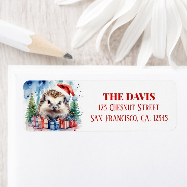 Christmas Hat Festive Hedgehog (Insitu)