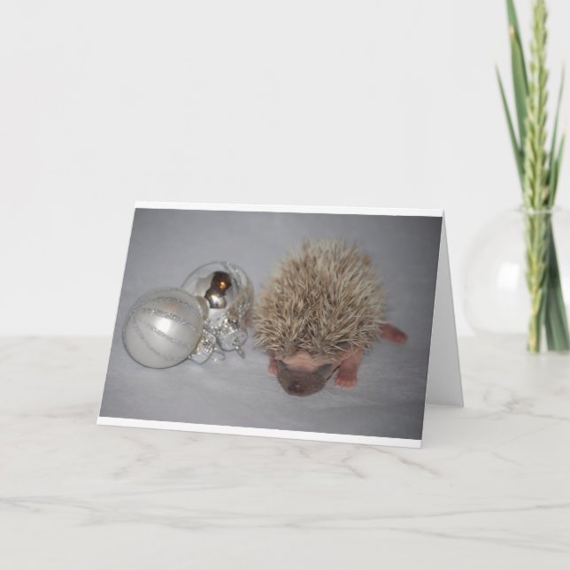Christmas Hedgehog Holiday Card (Front)