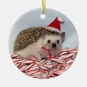 Christmas Hedgie Ornament