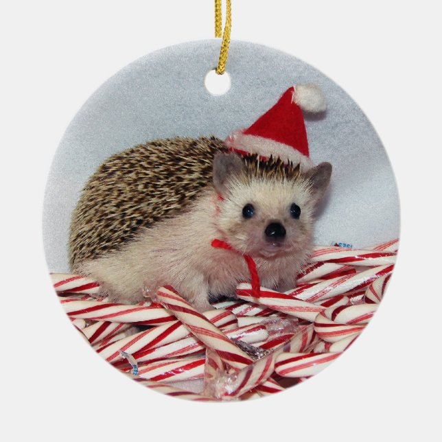 Christmas Hedgie Ornament (Front)