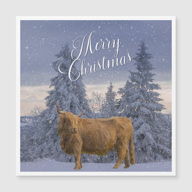 CHRISTMAS HIGHLAND COW (Front)