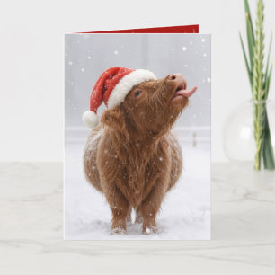 Christmas Highland Cow Catching Snowflakes Card
