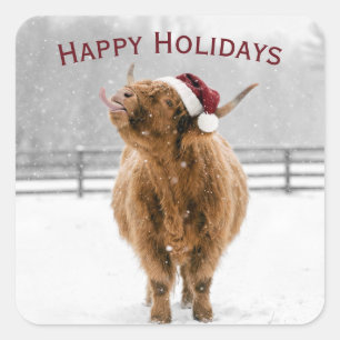 Christmas Highland Cow Licking Snowflakes Square Sticker