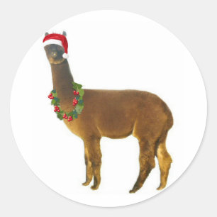 Christmas Holiday Alpaca Classic Round Sticker