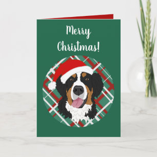 Christmas Holiday Bernese Mountain Dog Card