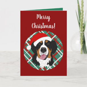 Christmas Holiday Bernese Mountain Dog Card