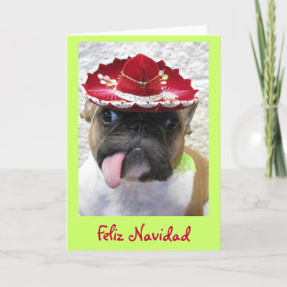 Christmas Holiday Card