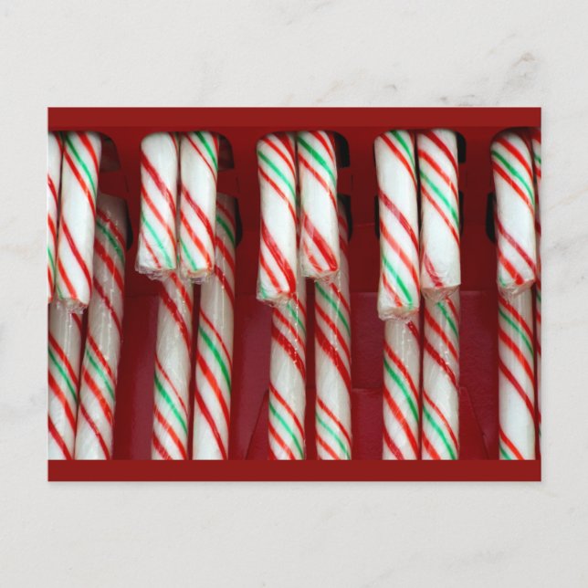 Christmas Holiday festive Candy Canes Postcard (Front)