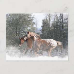 Christmas Holiday Horse Postcards